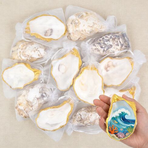 qeqekaka 12pcs قذائف المحار الطبيعية للحرف اليدوية 3 "-4" قذائف المحار الذهبية المسطحة، الأصداف البحرية الحقيقية لdecoupage، ديكور طاولة الزفاف، الهدايا DIY، ديكور غرفة تحت عنوان الشاطئ الساحلي in Kuwait