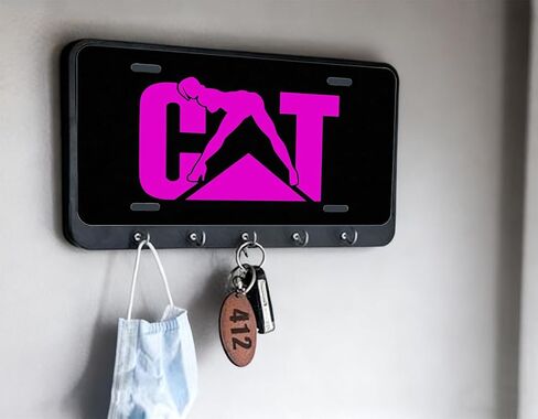 cat Front Plate Cover Decor Accessory Aluminum Metal Rust-Proof Plate Novelty Vanity Tag Cover with 4 Holes for Men Women 6 * 12 in (YMXCP11150026) in Saudi Arabia