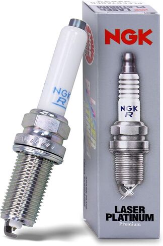 Laser Plat. Plug Plfer7A8Eg 4/Box in Kuwait