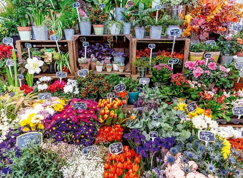 Ravensburger Flower Market, France 500 Piece Puzzle for Adults in Kuwait