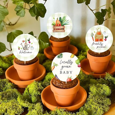 Locally Grown Cupcake Toppers Locally Grown Baby Shower Decorations 25Pcs Farmers Market Cupcake Decorations Vegetables Baby Shower Gender Reveal Party Supplies in Kuwait