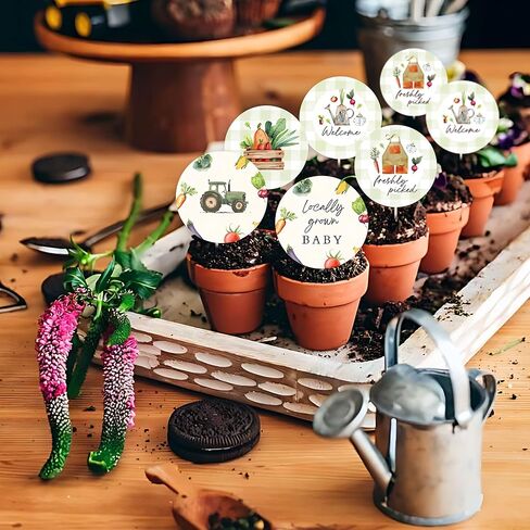 Locally Grown Cupcake Toppers Locally Grown Baby Shower Decorations 25Pcs Farmers Market Cupcake Decorations Vegetables Baby Shower Gender Reveal Party Supplies in Kuwait