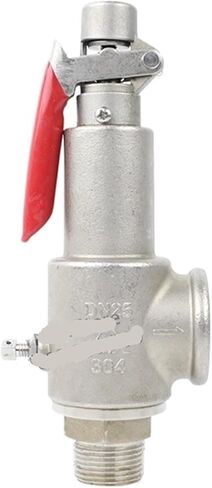 SU10L Stainless Steel Safety Valve Steam Safety Relief Valve Pressure DN15 DN20 DN25 DN32 G 100psi 50psi 1Bar-3Bar Boiler(DN15,2bar) in Saudi Arabia