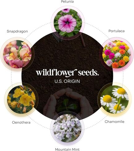 50pcs Large Heart-Shaped Seed Paper – Printed Let Love Grow, Writable & Plantable Wildflower, Mom's Gift for Mother’s Day, Use for Wedding, Heart Party Favors & Easter Decorations in Saudi Arabia