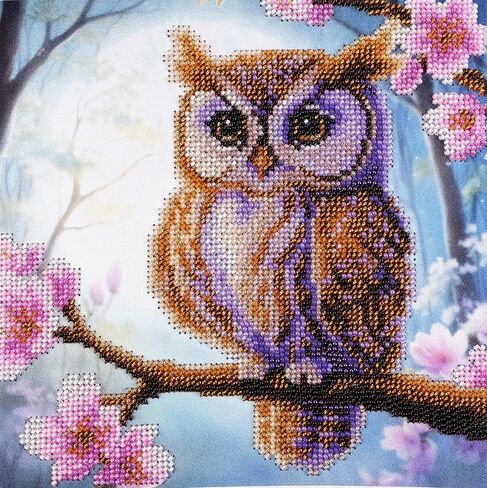 AllAboutEmbroideryUA Bead Embroidery kit Wise Owl AN-1109 Bird Beaded Cross Stitch kit in Kuwait