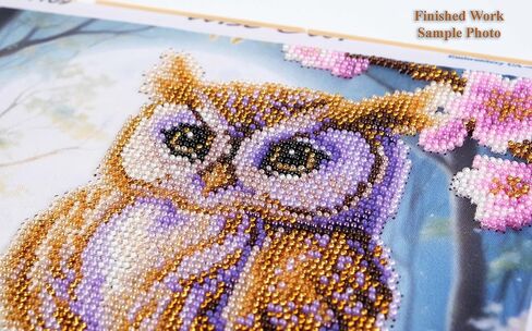 AllAboutEmbroideryUA Bead Embroidery kit Wise Owl AN-1109 Bird Beaded Cross Stitch kit in Kuwait