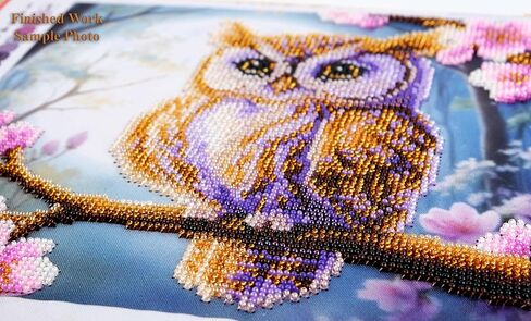 AllAboutEmbroideryUA Bead Embroidery kit Wise Owl AN-1109 Bird Beaded Cross Stitch kit in Kuwait