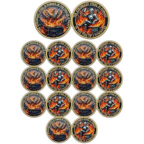 Knight Dumpster Fire Challenge Coin - Dumpster Fire Desk Accessories- Funny Desk Accessories for Work - Hilarious Coworker Go Away Token - Inspirational Gift for Colleague (16Pcs) in Saudi Arabia