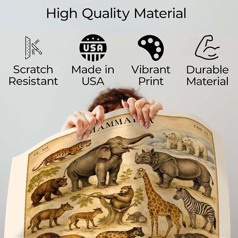 InkFlow Posters Mammal Wildlife Canvas Poster - Vintage Natural History Artwork - Educational Animal Illustration Chart - Classroom Office Wall Decor - 8x10 Unframed Canvas Print in Saudi Arabia