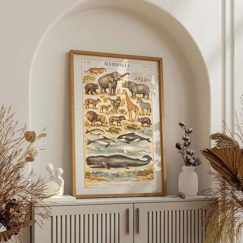 InkFlow Posters Mammal Wildlife Canvas Poster - Vintage Natural History Artwork - Educational Animal Illustration Chart - Classroom Office Wall Decor - 8x10 Unframed Canvas Print in Saudi Arabia