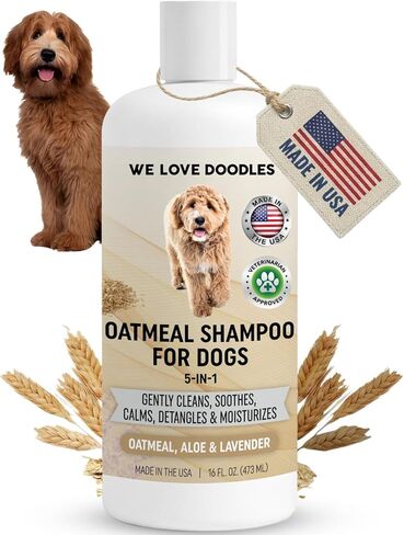 Premium Anti Itch Dog Shampoo for Sensitive Skin, Made in USA, Dry Skin Treatment for Dogs, Great for Allergies, Itching Skin, Hot Spots, Natural Ingredients & Allergy Relief, 16 OZ [We Love Doodles] in Saudi Arabia