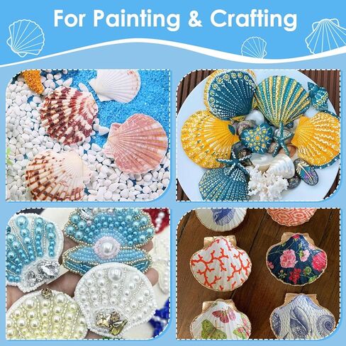 60PCS Large Scallop Shells for Crafts 4-4.3 inch Clam Shells for Decoupage Beach Natural White Seashells Bulk from Sea Beach for DIY Crafts Decorating Painting Crafting Home Wedding Decor in Saudi Arabia