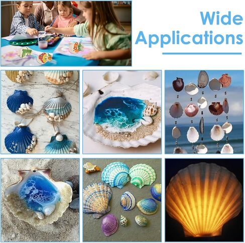60PCS Large Scallop Shells for Crafts 4-4.3 inch Clam Shells for Decoupage Beach Natural White Seashells Bulk from Sea Beach for DIY Crafts Decorating Painting Crafting Home Wedding Decor in Saudi Arabia