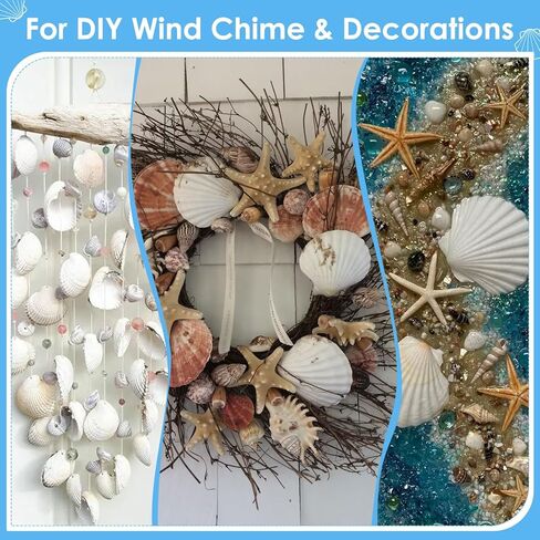 60PCS Large Scallop Shells for Crafts 4-4.3 inch Clam Shells for Decoupage Beach Natural White Seashells Bulk from Sea Beach for DIY Crafts Decorating Painting Crafting Home Wedding Decor in Saudi Arabia