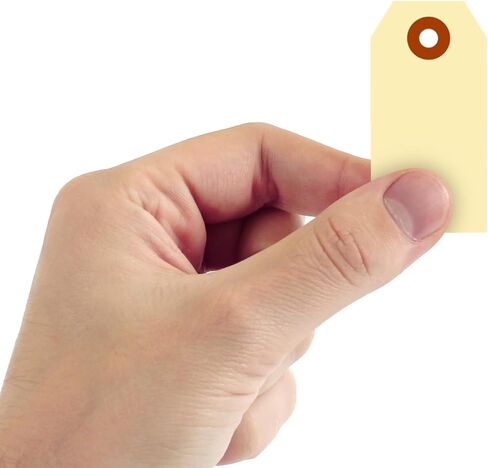 بطاقات شحن مانيلا صغيرة مقاس 2.75 × 1.375 بوصة من SmartSign مع رقعة ألياف، الحجم - 1، بطاقات 10 نقاط، حزمة من 1000، بدون قيود in Kuwait
