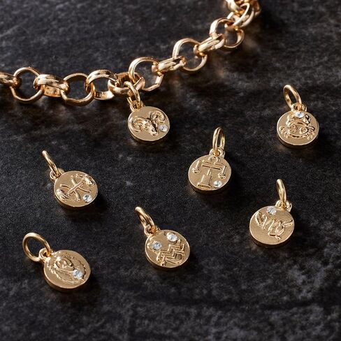 Bead Landing Gold Zodiac Coin Charms Charms for DIY Jewelry Making, Necklaces, Bracelets & Keychains, 12 Pack in Kuwait