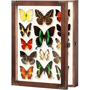 Wall Mount Insect Butterfly Display Case, Large Natural Wood Specimen Collection Box, Fade Resistant Glass Panel with 3 Sizes Specimen Pins for Bug Butterfly Specimen Display in Saudi Arabia