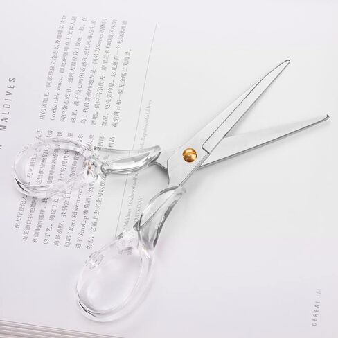 Gold Scissors, Stainless Steel Blade with Acrylic Handle, All Purpose Scissor for Office, School, Home, Fabric Shears, Tijeras (6.3" Silver) in Saudi Arabia
