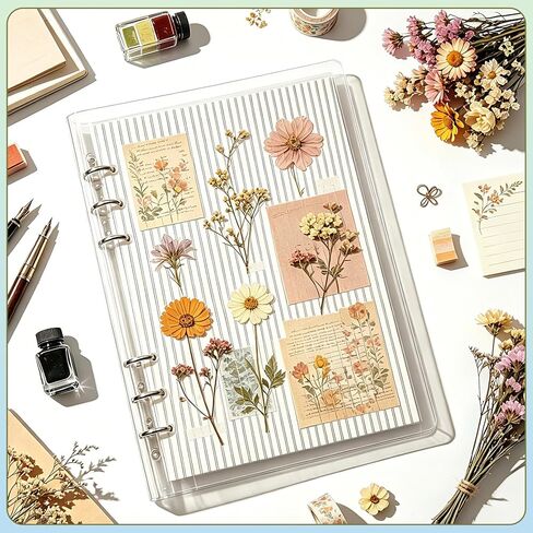 2PCS Clear A5 Binder Cover, Transparent 6 Hole Budget Binder for Office Use, Minimalist Refillable 6 Ring A5 Notebook Cover for Budget Binders, Journals & Office Planners (8.27" x 5.91") in Saudi Arabia