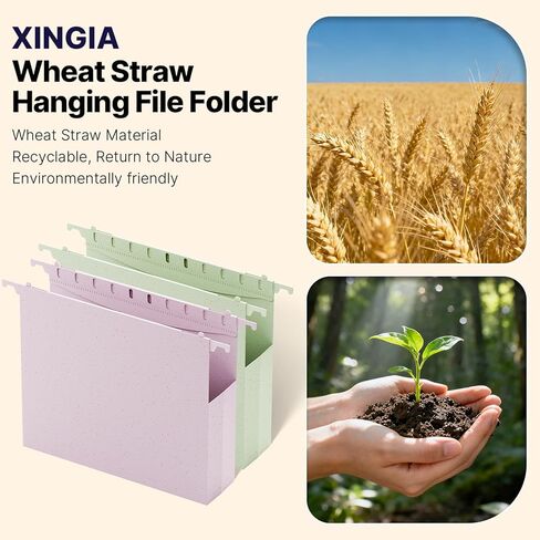 مجلدات ملفات معلقة بلاستيكية من XINGIA، حجم الحروف مع توسيع 2 بوصة، 12 حزمة مجلدات معلقة قابلة للتوسيع مع علامات تبويب، منظمات مجلدات معلقة للمكتب والمدرسة والمنزل وملء كابينة - ألوان متنوعة in Kuwait