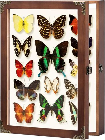 Wall Mount Insect Butterfly Display Case, Large Natural Wood Specimen Collection Box, Fade Resistant Glass Panel with 3 Sizes Specimen Pins for Bug Butterfly Specimen Display in Saudi Arabia