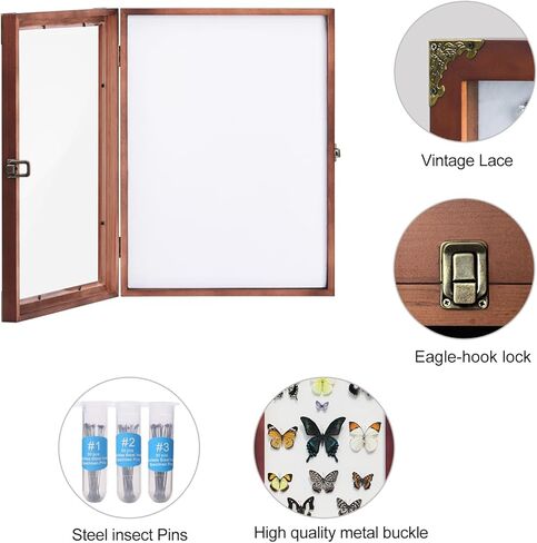 Wall Mount Insect Butterfly Display Case, Large Natural Wood Specimen Collection Box, Fade Resistant Glass Panel with 3 Sizes Specimen Pins for Bug Butterfly Specimen Display in Saudi Arabia