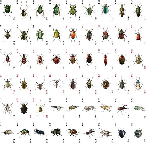 Bugs Kingdom Playing Cards (Poker Deck 54 Cards All Different) Beetles Bugs Entomology Art Creepy Crawlies and Quirky Insect Unique Vintage Illustration Designs in Saudi Arabia