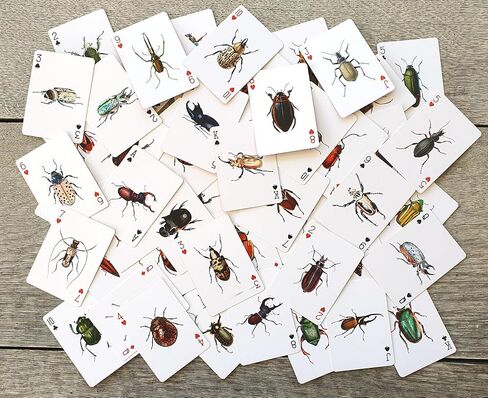 Bugs Kingdom Playing Cards (Poker Deck 54 Cards All Different) Beetles Bugs Entomology Art Creepy Crawlies and Quirky Insect Unique Vintage Illustration Designs in Saudi Arabia