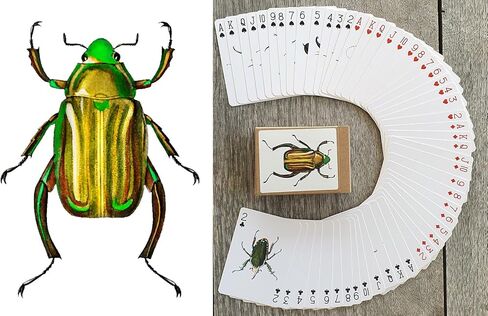 Bugs Kingdom Playing Cards (Poker Deck 54 Cards All Different) Beetles Bugs Entomology Art Creepy Crawlies and Quirky Insect Unique Vintage Illustration Designs in Saudi Arabia