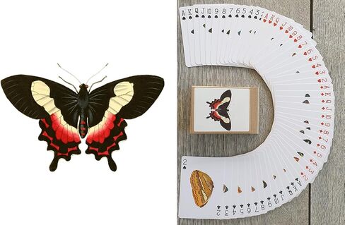 Bugs Kingdom Playing Cards (Poker Deck 54 Cards All Different) Beetles Bugs Entomology Art Creepy Crawlies and Quirky Insect Unique Vintage Illustration Designs in Saudi Arabia