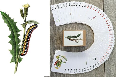 Bugs Kingdom Playing Cards (Poker Deck 54 Cards All Different) Beetles Bugs Entomology Art Creepy Crawlies and Quirky Insect Unique Vintage Illustration Designs in Saudi Arabia