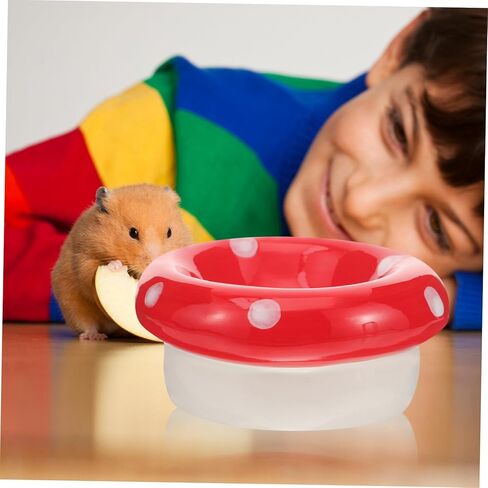 مينكيسي غينيا خنزير السلطانية المغذية الفطر وعاء الماء الملحقات السيراميك وعاء الجرذان تغذية السلطانية - المتداول الحيوانات الأليفة وعاء صغير خيمة عش السيراميك حاويات الطعام طبق بيتري طبق الهامستر السيراميك in Kuwait