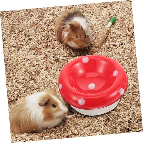 مينكيسي غينيا خنزير السلطانية المغذية الفطر وعاء الماء الملحقات السيراميك وعاء الجرذان تغذية السلطانية - المتداول الحيوانات الأليفة وعاء صغير خيمة عش السيراميك حاويات الطعام طبق بيتري طبق الهامستر السيراميك in Kuwait