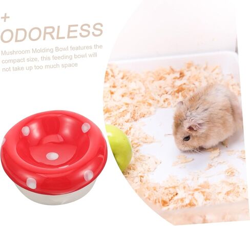 مينكيسي غينيا خنزير السلطانية المغذية الفطر وعاء الماء الملحقات السيراميك وعاء الجرذان تغذية السلطانية - المتداول الحيوانات الأليفة وعاء صغير خيمة عش السيراميك حاويات الطعام طبق بيتري طبق الهامستر السيراميك in Kuwait