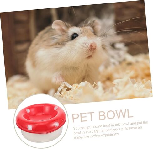 مينكيسي غينيا خنزير السلطانية المغذية الفطر وعاء الماء الملحقات السيراميك وعاء الجرذان تغذية السلطانية - المتداول الحيوانات الأليفة وعاء صغير خيمة عش السيراميك حاويات الطعام طبق بيتري طبق الهامستر السيراميك in Kuwait