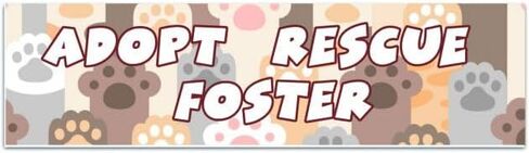 Adopt Rescue Foster Vinyl Decal | Pet Decal | Water Bottle Decal | Car Window Decal | Laptop Decal Bumper Sticker [02130] in Saudi Arabia