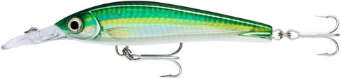 Rapala XRMAGXT160 X-Rap Magnum Extreme 6.3 inches (16 cm), 2.4 oz (68 g) in Saudi Arabia