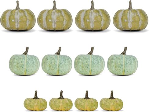Raz Imports The Pumpkin Patch 3.25 بوصة حقيبة مكونة من 12 قرع - قرع صناعي ذو مظهر طبيعي - خلفية للمزرعة والريف للحفلات - ديكور متين لعيد الشكر ويوم الحصاد والهالوين in Kuwait
