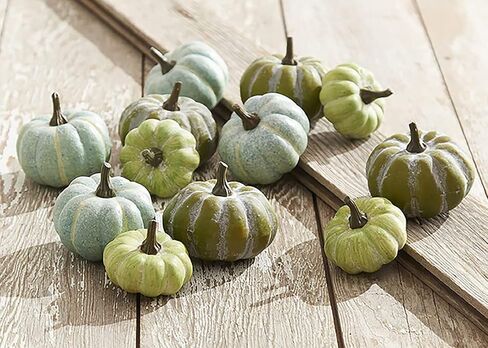 Raz Imports The Pumpkin Patch 3.25 بوصة حقيبة مكونة من 12 قرع - قرع صناعي ذو مظهر طبيعي - خلفية للمزرعة والريف للحفلات - ديكور متين لعيد الشكر ويوم الحصاد والهالوين in Kuwait