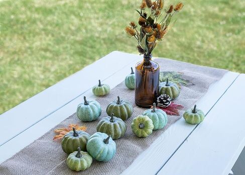 Raz Imports The Pumpkin Patch 3.25 بوصة حقيبة مكونة من 12 قرع - قرع صناعي ذو مظهر طبيعي - خلفية للمزرعة والريف للحفلات - ديكور متين لعيد الشكر ويوم الحصاد والهالوين in Kuwait