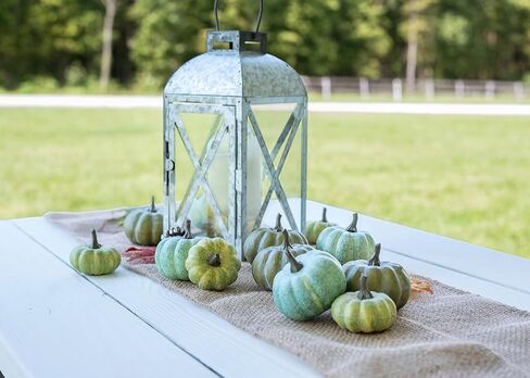 Raz Imports The Pumpkin Patch 3.25 بوصة حقيبة مكونة من 12 قرع - قرع صناعي ذو مظهر طبيعي - خلفية للمزرعة والريف للحفلات - ديكور متين لعيد الشكر ويوم الحصاد والهالوين in Kuwait