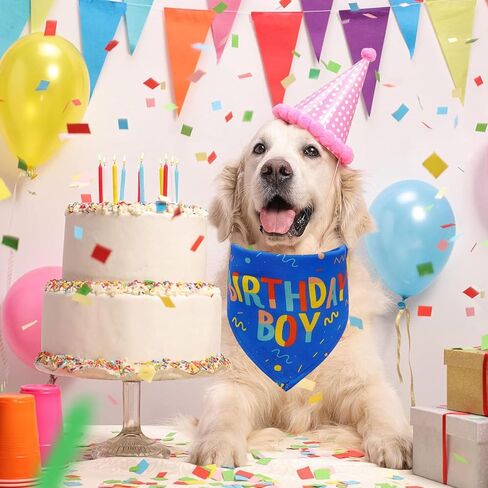 Birthday Boy Dog Bandana, Printed Dog Bandana Pet Scarf Dog Birthday Party Supplies for Dogs Pet Accessories for Dog Lovers Reveal Ideas in Kuwait
