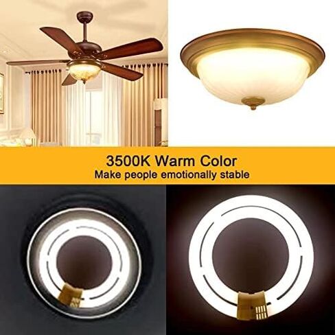 T9 LED Circline Light Bulb, FC12T9/DL Led Replacement for GE Philips Sylvania 12 Inch Circular Fluorescent T9 32W Day Light 2300Lm 2 Count in Saudi Arabia