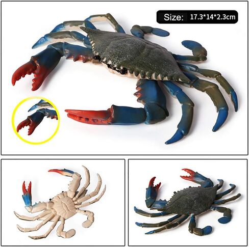 Realistic Crab Marine Animal Model Toys, 2 Pcs Simulated Sea Life Animals Figurine Collection Sea Creature Science Educational Props Toys in Kuwait