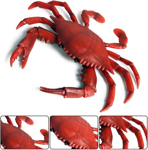Realistic Crab Marine Animal Model Toys, 2 Pcs Simulated Sea Life Animals Figurine Collection Sea Creature Science Educational Props Toys in Kuwait