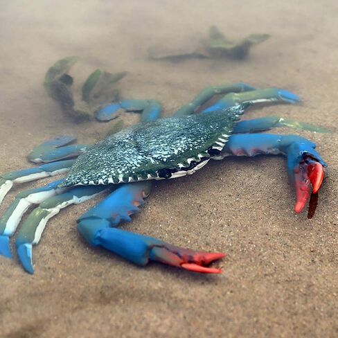 Realistic Crab Marine Animal Model Toys, 2 Pcs Simulated Sea Life Animals Figurine Collection Sea Creature Science Educational Props Toys in Kuwait