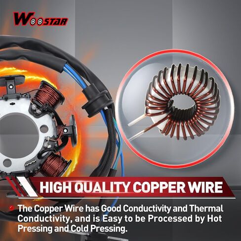 WOOSTAR 8 Coil 5 Wire Magneto Stator Replacement for TTR230 TTR 230 TT-R230 TT R230 2005-2017 Dirt Pit Bike in Kuwait