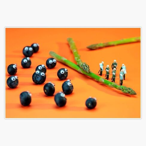 Magnet Blueberry Protesting Magnetic Vinyl Sticker Decal 5" in Kuwait