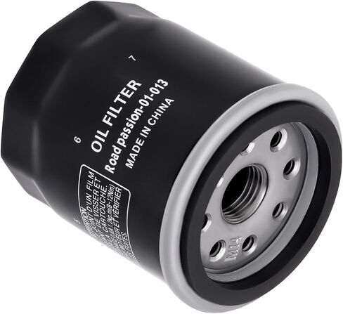 Road Passion Oil Filter for Piaggio Scooter 250 Vespa GT 60 2006-2008/250 Vespa GTS/ABS i.e. 2005-2011 in Kuwait