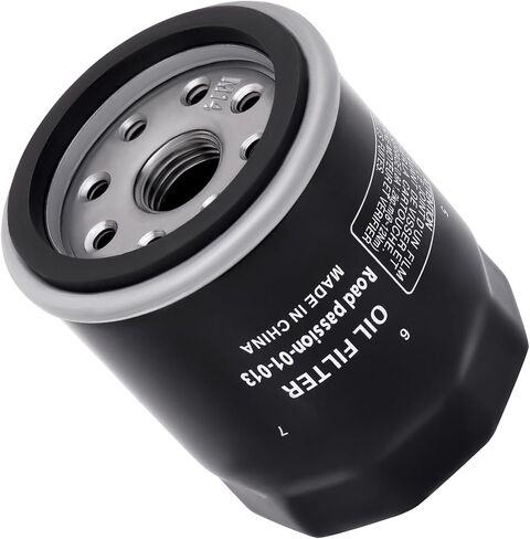 Road Passion Oil Filter for Piaggio Scooter 250 Vespa GT 60 2006-2008/250 Vespa GTS/ABS i.e. 2005-2011 in Kuwait